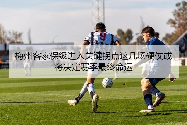 img_1781072658826_58_1_819.jpg